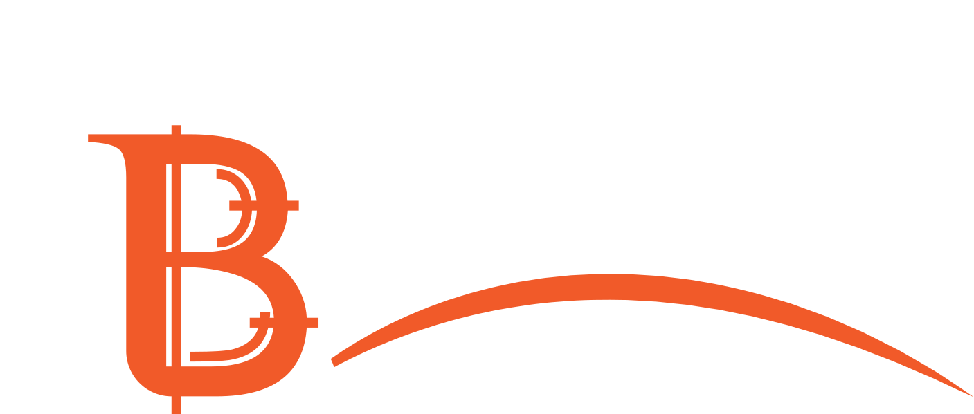 bizmia Logo footer