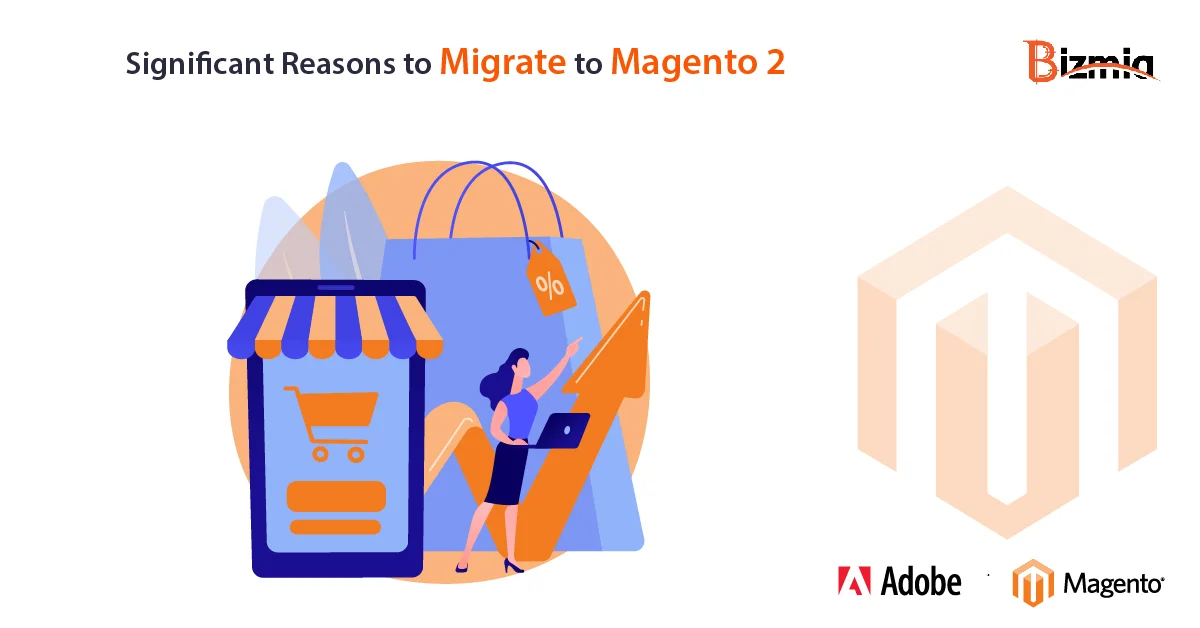 Magento 2 developer