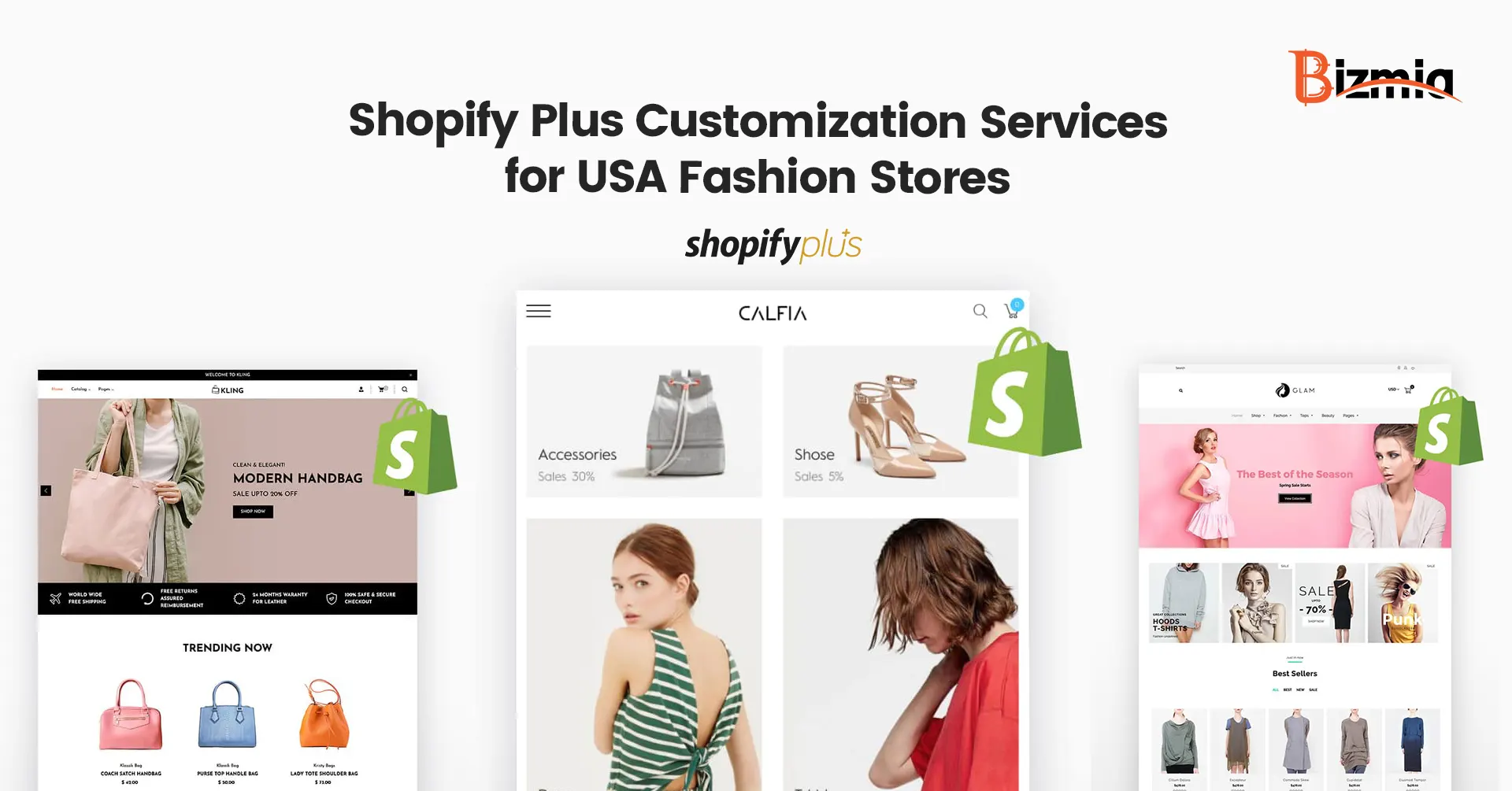 Shopify Plus Customization Services