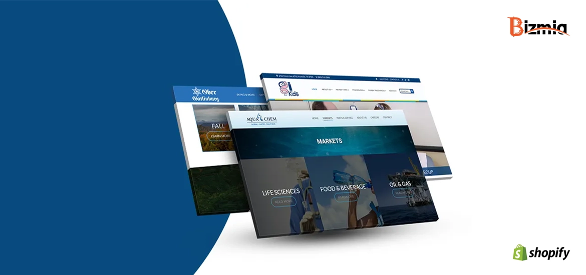 Bizmia Banner Size