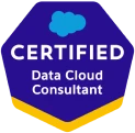 Salesforce Certified Data Cloud Consultant